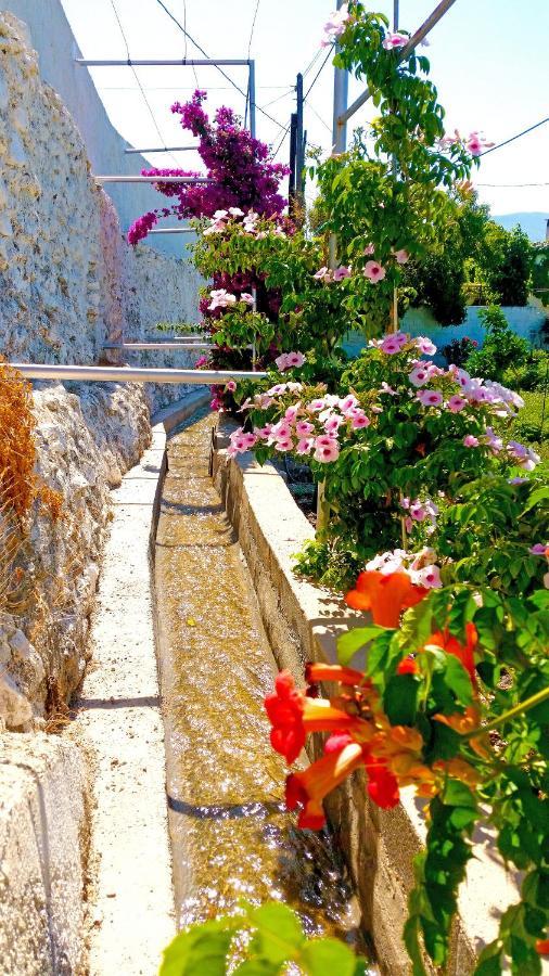 Villa Adelaida Órgiva Kültér fotó